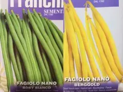 【つるなしインゲングリーン&イエロー】セット種子合計40粒⑧固定種ヨーロッパ菜園