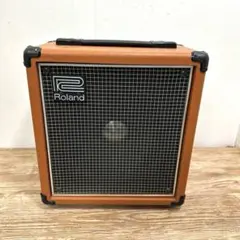 2026年最新】roland cube 100の人気アイテム - メルカリ