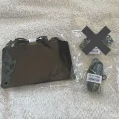 &TEAM 入会特典 サコッシュ　ネックストラップ　FC トレカ　アルバム　CD