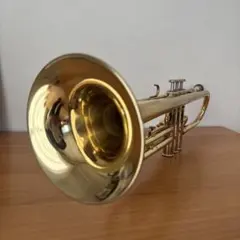 Item thumbnail for item 2a4f445a-dbb7-4b2a-95d0-760828b6a9dc