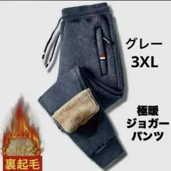 ジョガーパンツ グレー 3XL 裏起毛 ズボン 防寒 極暖 ボア 厚手 男女兼用