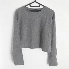 ZARA ショート丈 長袖ニット グレー S