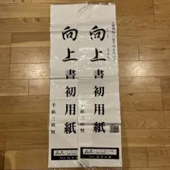 Item thumbnail for item 4c28b9c1-ada9-4473-b98d-37f4237f4309