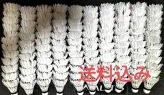 2026年最新】ノック用シャトルの人気アイテム - メルカリ