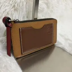 ✨極美品✨LOEWE ロエベ フラグメントケース 小銭入れ 定期入れ レザー