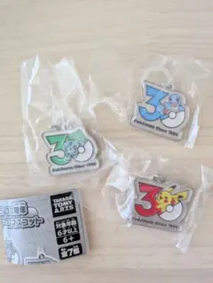 ポケモン 30周年 メタルチャームマスコット アクリルキーホルダー 3個セット