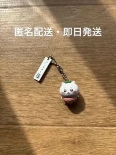 くら寿司　びっくらポン　ちいかわ　ねぎまぐろ　チャーム