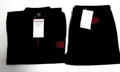 Item thumbnail for item b2ff5dd1-0bc1-4e9f-bb19-bc1c7245de6b