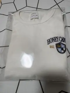 ZARA 長袖Tシャツ 13-14 160センチ