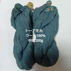 Item thumbnail for item 1bdecd2d-0fa4-41c4-93dc-458a4a0be94d