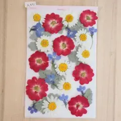 もなみみ様 リクエスト 3点 まとめ商品