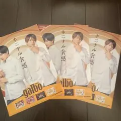 ふまけん ガルボ クリアファイル