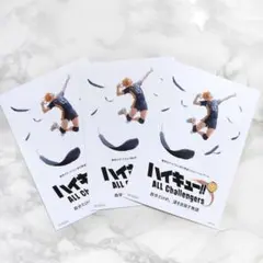 【限定・非売品】ハイキュー ポストカード イラストカード アニメジャパン 3枚