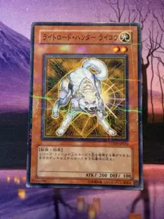 ライトロードハンターライコウ　パラレル