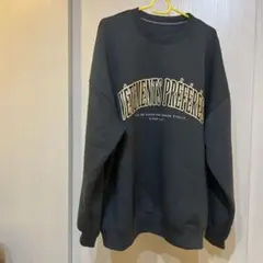 earthトレーナー