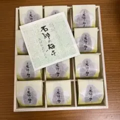 Item thumbnail for item 8651a6f8-5d63-4b59-9af7-1beaa2021bf2