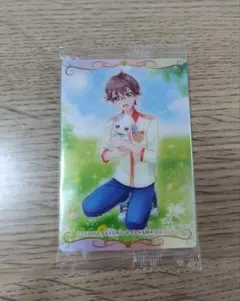 プリキュア　ウエハース　カード　兎山悟　兎山大福