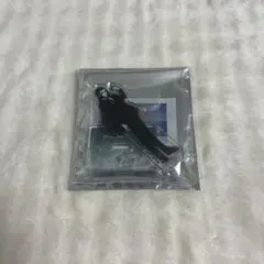 HUNTER×HUNTER スーツ 戦闘後 アニメイトフェア イルミ アクスタ