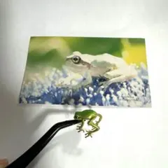 deer *様 リクエスト 2点 まとめ商品