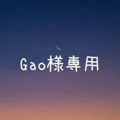 Gao様 リクエスト 3点 まとめ商品
