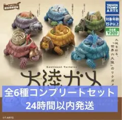 ガチャ　大陸ガメ　全６種コンプリートセット