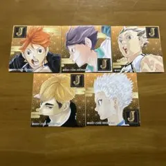 ハイキュー ステッカー シール 日向翔陽 及川徹 木兎光太郎 宮侑 星海光来