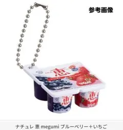 雪印メグミルク ミニチュアチャーム