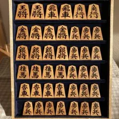 2026年最新】将棋駒 盛上駒の人気アイテム - メルカリ