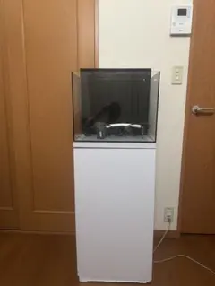 2026年最新】水槽 オルカの人気アイテム - メルカリ