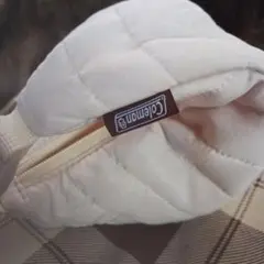 Item thumbnail for item eac260f6-3963-47f6-85a5-ce7d33ceff4d