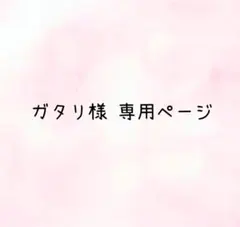 ガタリ様*専用ページ