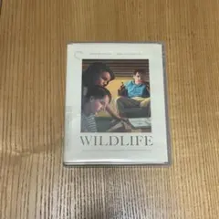 INTO THE WILD DVD イントゥ・ザ・ワイルド 輸入版DVD - メルカリ
