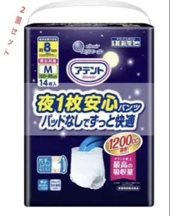 Item thumbnail for item dd5b528b-4f87-4388-a1c9-40d2d490f7e4