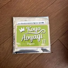 阪神時代の青柳晃洋選手の缶バッチ