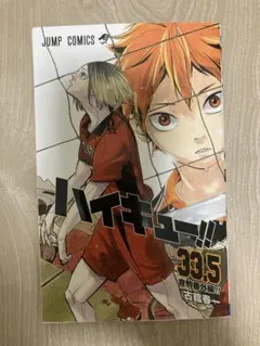 【非売品】　劇場版ハイキュー!! ゴミ捨て場の決戦 33.5巻　入場特典冊子