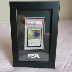 2025年最新】ブラックロータス psa10の人気アイテム - メルカリ