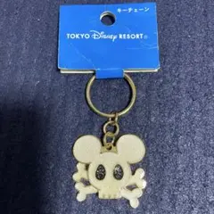 東京ディズニーリゾート　キーチェーン