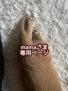 mamaさま専用ページ➀