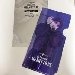 シュント　クリアファイル