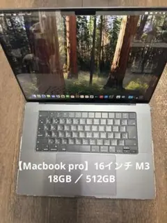 2026年最新】Macbook m3 pro 18gbの人気アイテム - メルカリ