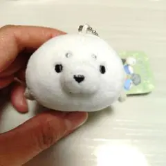 あかちゃんアザラシ キーホルダー ぬいぐるみ