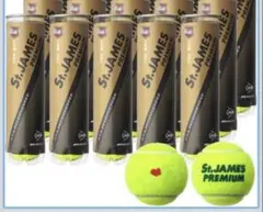 DUNLOP St.JAMES PREMIUM テニスボール 60球×2箱 - メルカリ