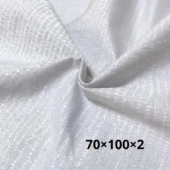 no.548 遮光ライトグレー　2枚セット