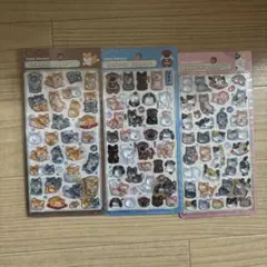 【国内正規品】ボンボンドロップシール 和柄 日本犬 犬 いぬ