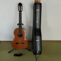 未使用級✨YAMAHA GC22C 2019年製 アコースティックギター - メルカリ
