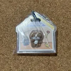 SEVENTEEN セブチ DINO ディノ MINITEEN - メルカリ
