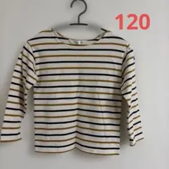 ボーダー　春夏　ロンT 120 男の子　女の子