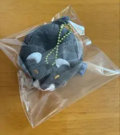 豆しば　三兄弟　ドーナツマスコット