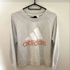 adidas グレー スウェット