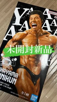 MUSCLE STARS PIECE なかやまきんに君～りそうの姿～